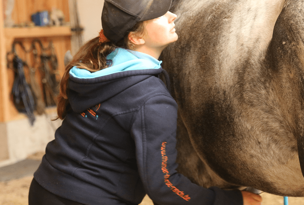 HORSE bodyforming & statisches Faszientraining für Einsteiger nach F. Grünbeck mit Instruktoren Doreen Hobrak