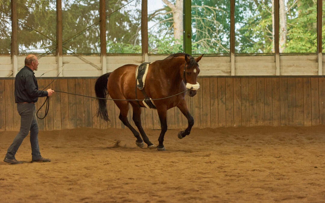 HORSE Bodyforming und statisches Faszientraining für Fortgeschrittene & Reitkurs mit Franz Grünbeck